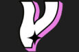 VECTOR | Design Studio